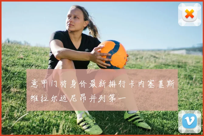 意甲门将身价最新排行卡内塞基斯维拉尔迈尼昂并列第一