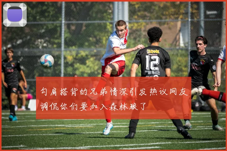 勾肩搭背的兄弟情深引发热议网友调侃你们要加入森林狼了