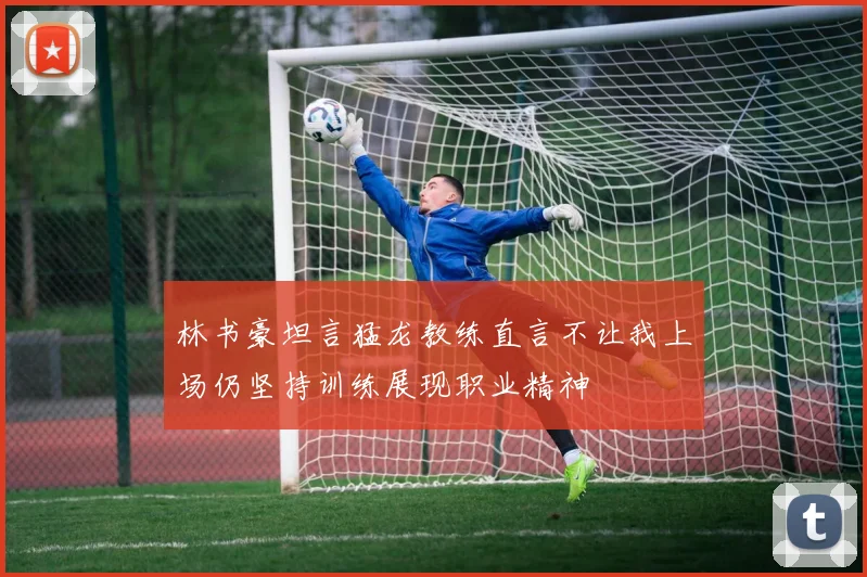 林书豪坦言猛龙教练直言不让我上场仍坚持训练展现职业精神