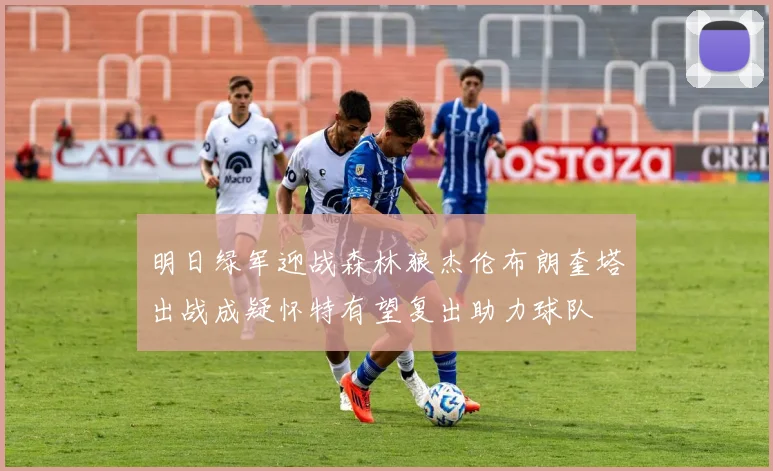 明日绿军迎战森林狼杰伦布朗奎塔出战成疑怀特有望复出助力球队