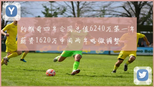 约维奇四年合同总值6240万第一年薪资1620万中间两年略微调整