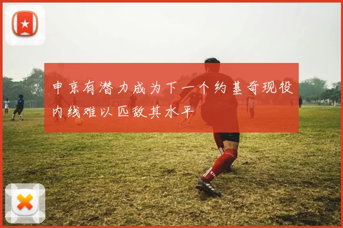 申京有潜力成为下一个约基奇现役内线难以匹敌其水平
